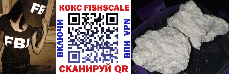 Кокаин Fish Scale  кракен ТОР  Змеиногорск 