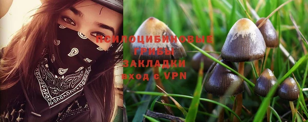 прущая мука Абаза